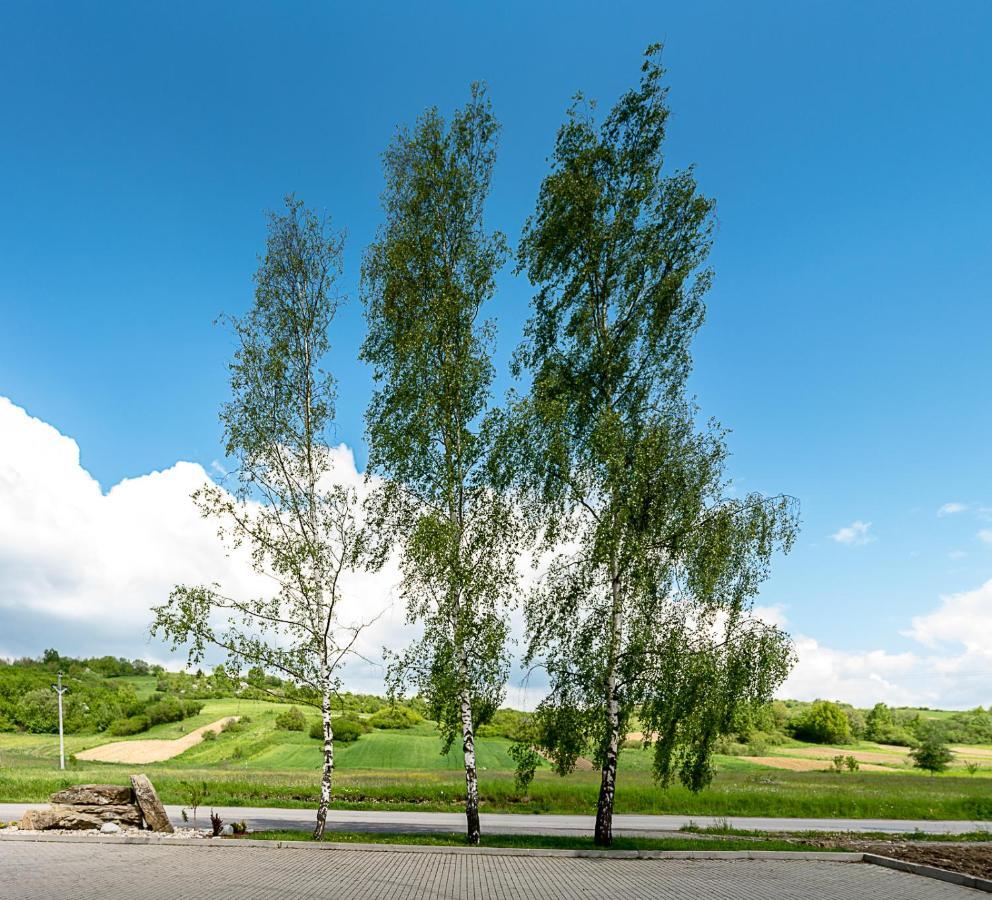 Agrohotel Tri Brezy Hrustin ภายนอก รูปภาพ